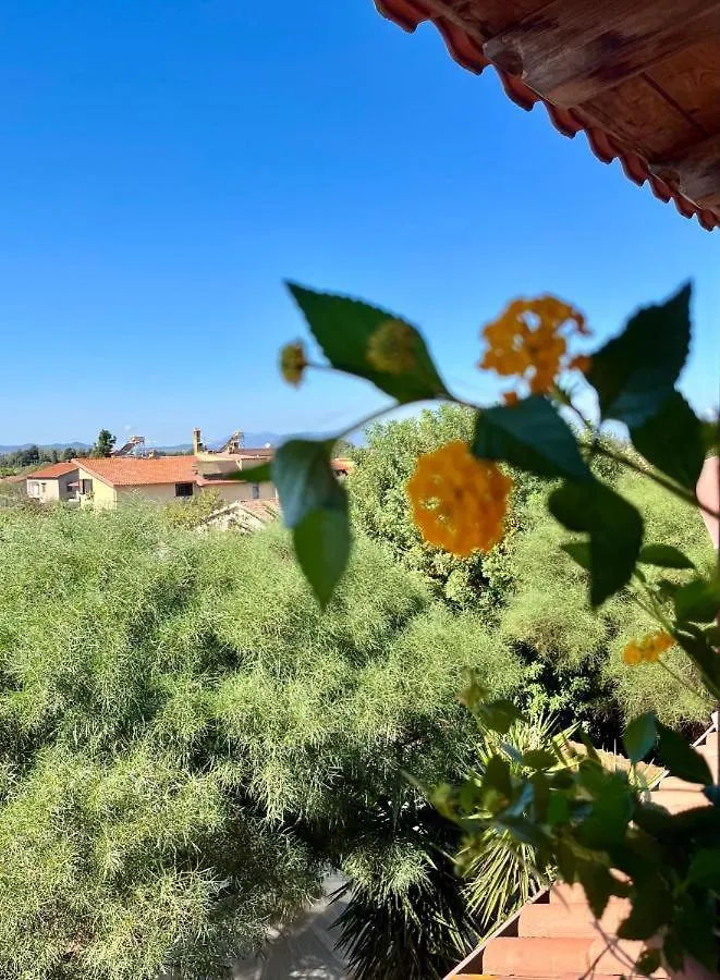 Casa Di Rosy Διαμέρισμα San Sperate Ιταλία